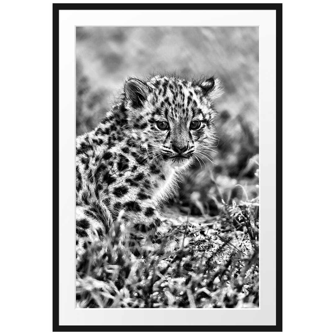 Gerahmtes Poster Junger Leopard im Gras