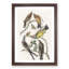 Flycatcher Birds by John Audubon - Picture Frame Painting Print-55576240-55576237