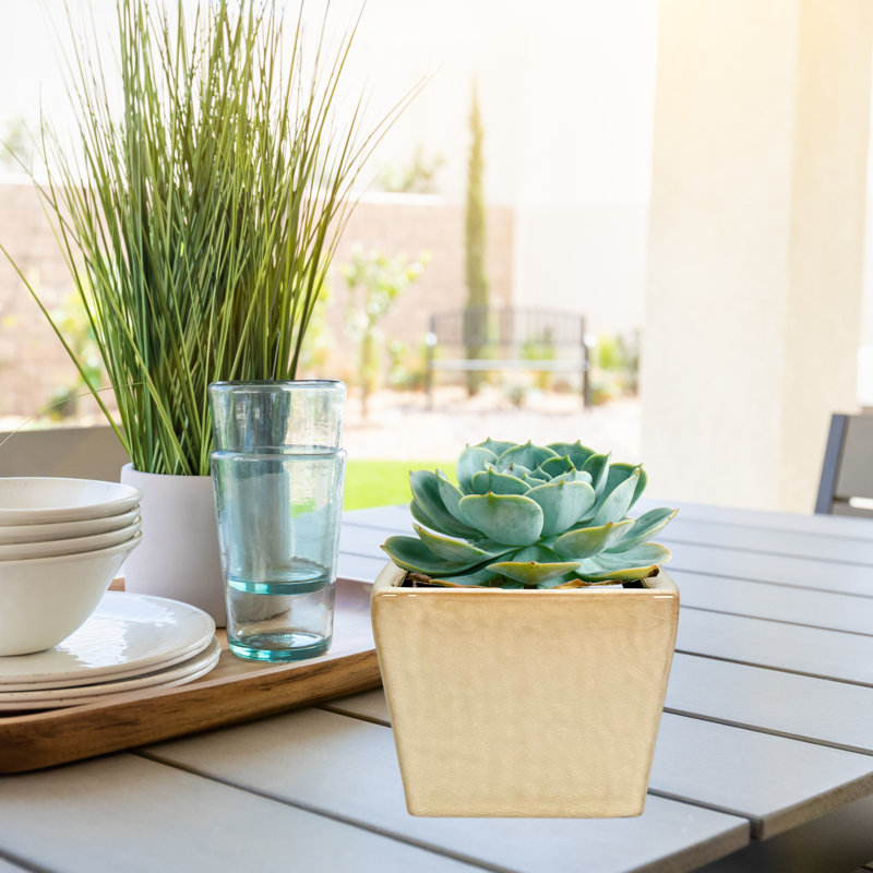 Pot de fleurs en céramique de 5 po, pot de fleurs en céramique, plante décorative pour la maison, blanc