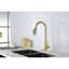 Robinet de cuisine moderne en acier inoxydable doré, rétractable, paquet de 4,2 lb, acier au look épuré, poignée simple, évier 9,89 po de profondeur-121612987