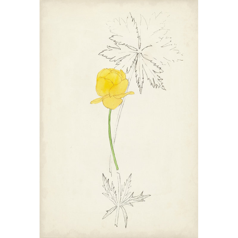 Botanical Sketches VII - Graphic Art Print, 91 cm H x 61 cm W, Wrapped Canvas