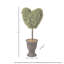 Topiaire 30 "en faux buis en pot