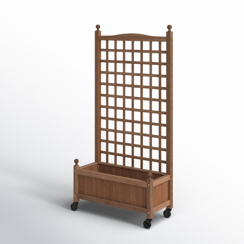 Allistir 50" H Wood Planter Box with Trellis