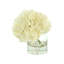 Hydrangea in Vase