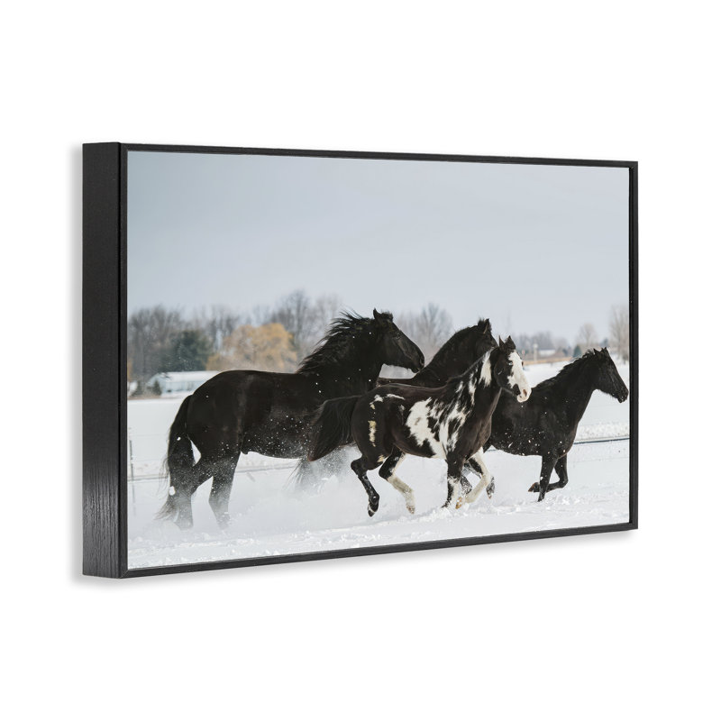 Troupeau d'hiver de chevaux, estampe numérique, design par Amy Carroll, H 12 po x l 18 po, Giclée encadrée noir minuit