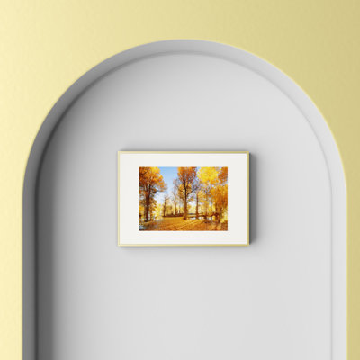 Abraham Metal Picture Frame with Mat