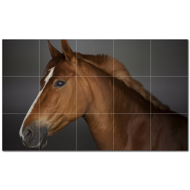 Photo de cheval 12 x 12