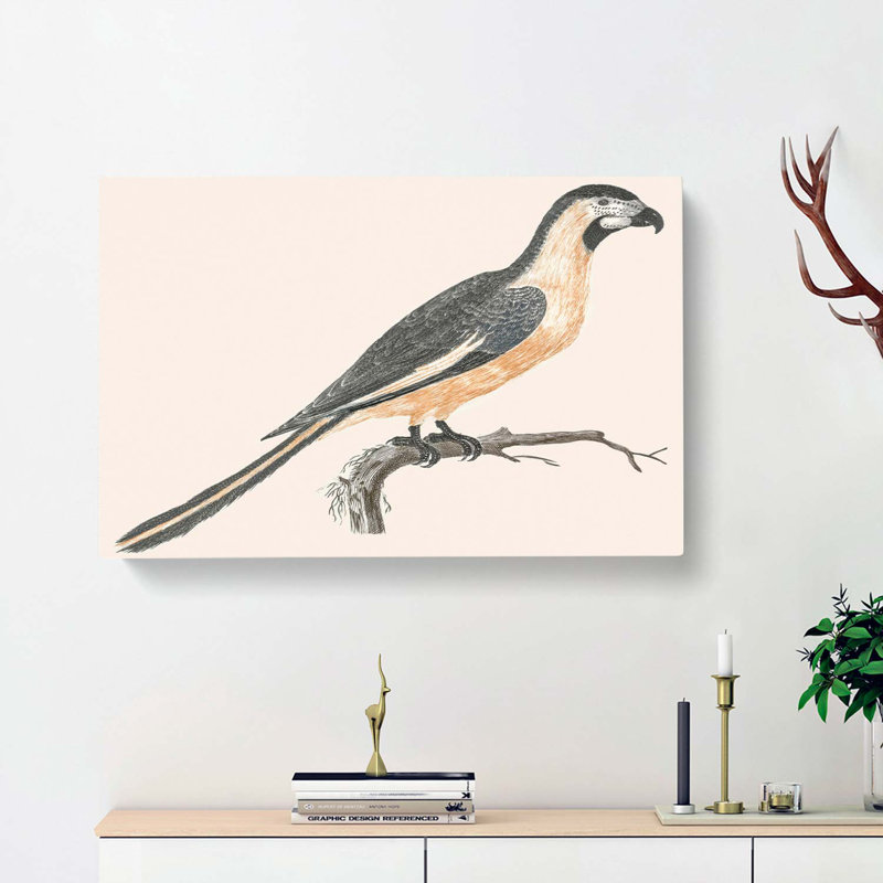 Parrot by Johan Teyler - Wrapped Canvas, 60cm H x 91cm W x 3cm D