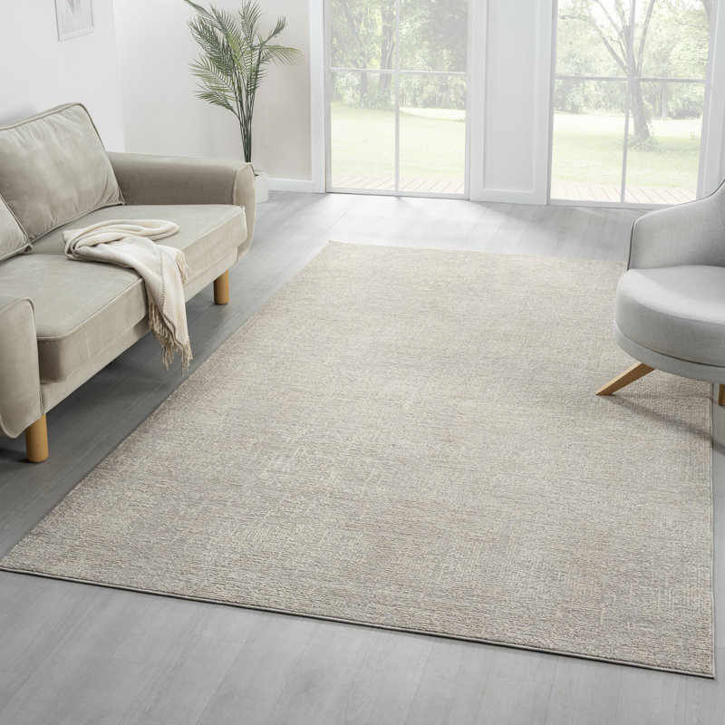 Silver/Cream Farmhouse Distressed Power-Loomed Indoor Area Rug, Rectangle 2' x 3'