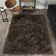 Petrey Indoor Rug