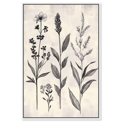 "Meadow Herbs I", impression murale sur toile par Art Remedy, cadre blanc, 36 x 54