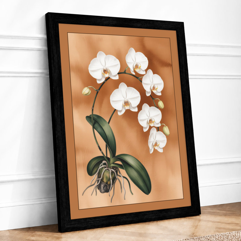 White Orchid Study Botanical - Print, A2 - 59.4 x 42.0 cm, Black