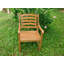 Izaguirre Patio Dining Armchair with Cushion
