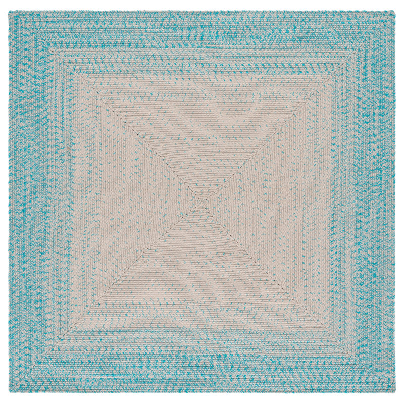 Braided 283 Hand Woven Performance Machine Washable No Pattern Rug, Square 5'