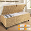 Leimomi Wicker Upholstered Bench with Storage-379316579