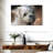 Brampt Maltese-108176870