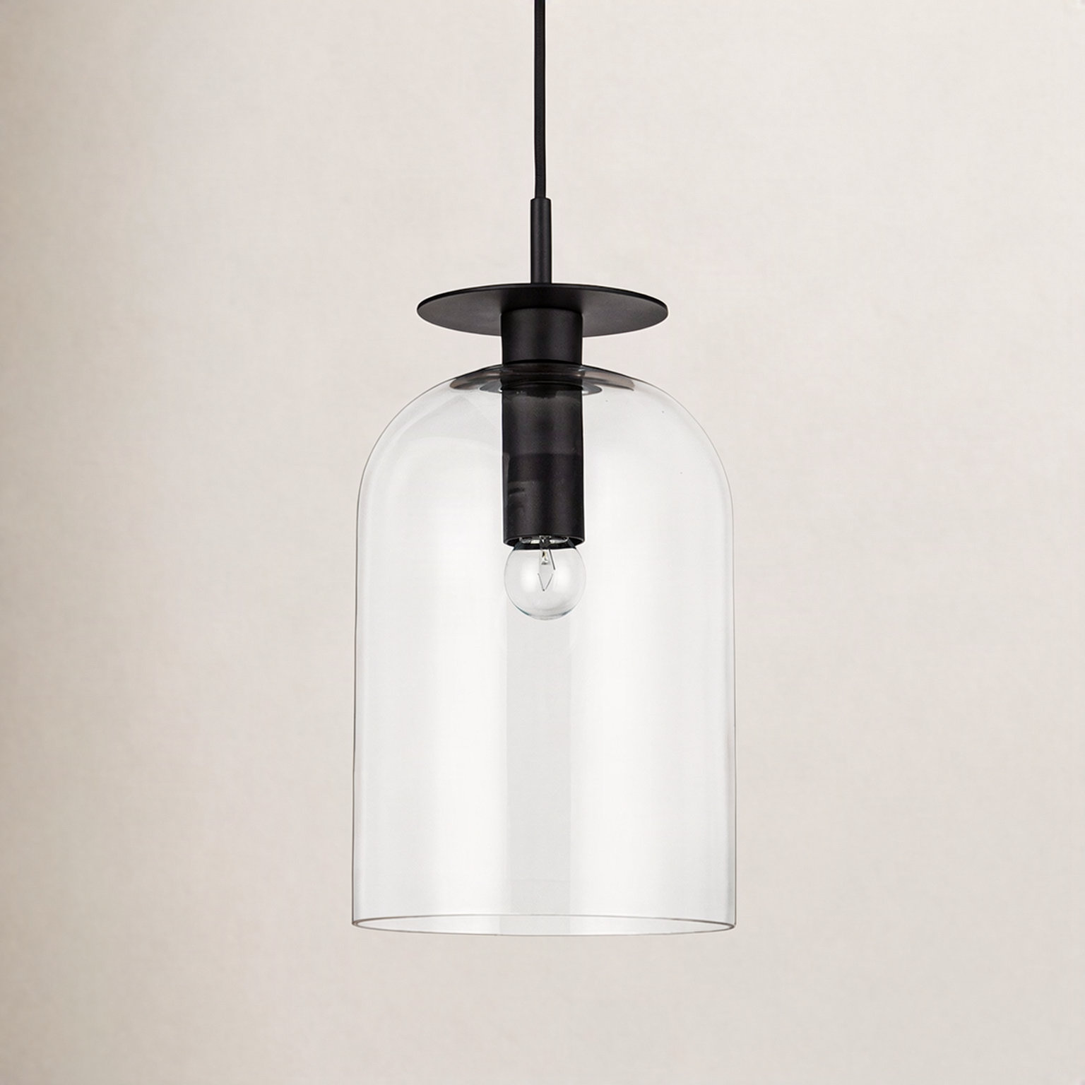 Delisa Single Light Glass Steel Pendant, Matte Black