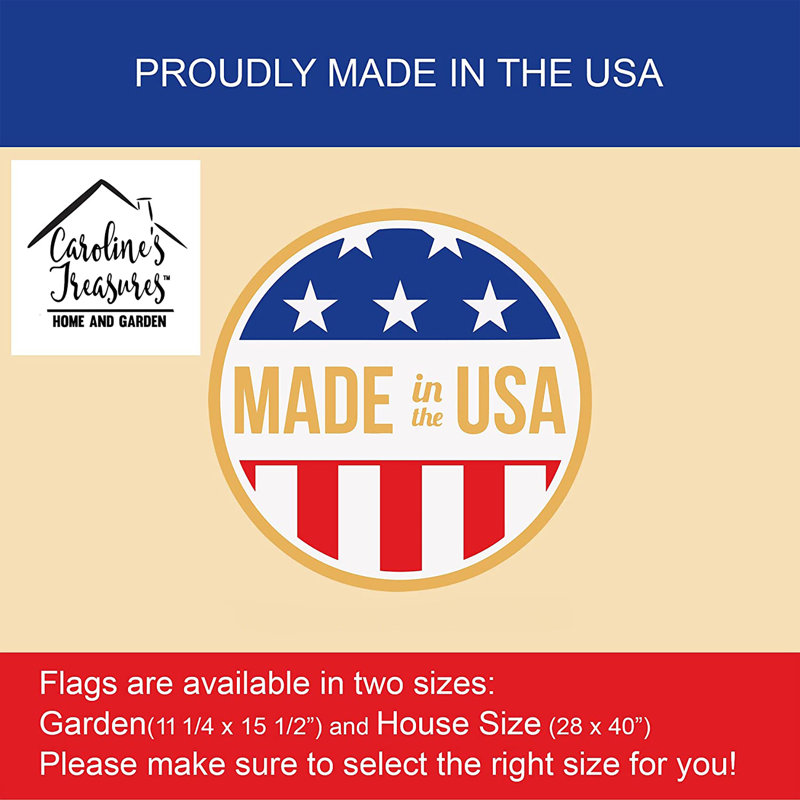 Double Sided 40'' H x 28'' W Polyester House Flag