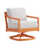Swivel Chair-257469504