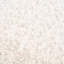 Nereen Solid Shag Beige Area Rug-860576124