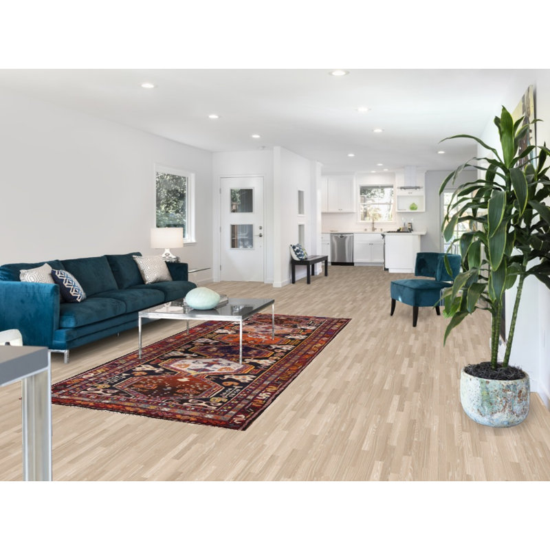 Tapis de couloir géométrique traditionnel 4x9