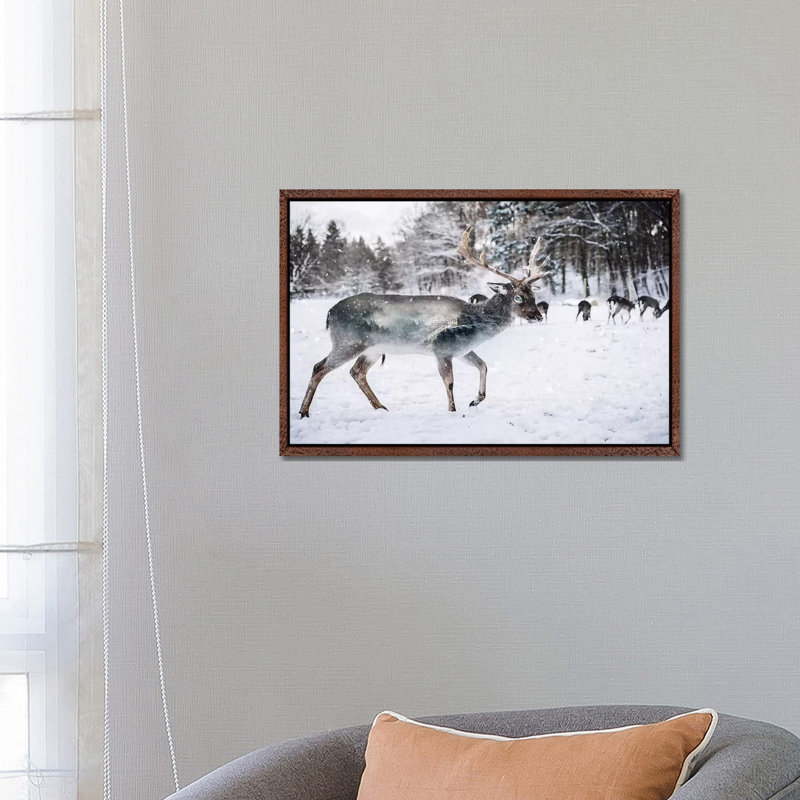 Winter Deer II by Paul Haag - Print on Canvas, Classic Brown Wood Framed, 66.04 cm H x 45.72 cm W