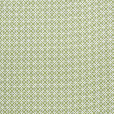 Tissu Serendipity
