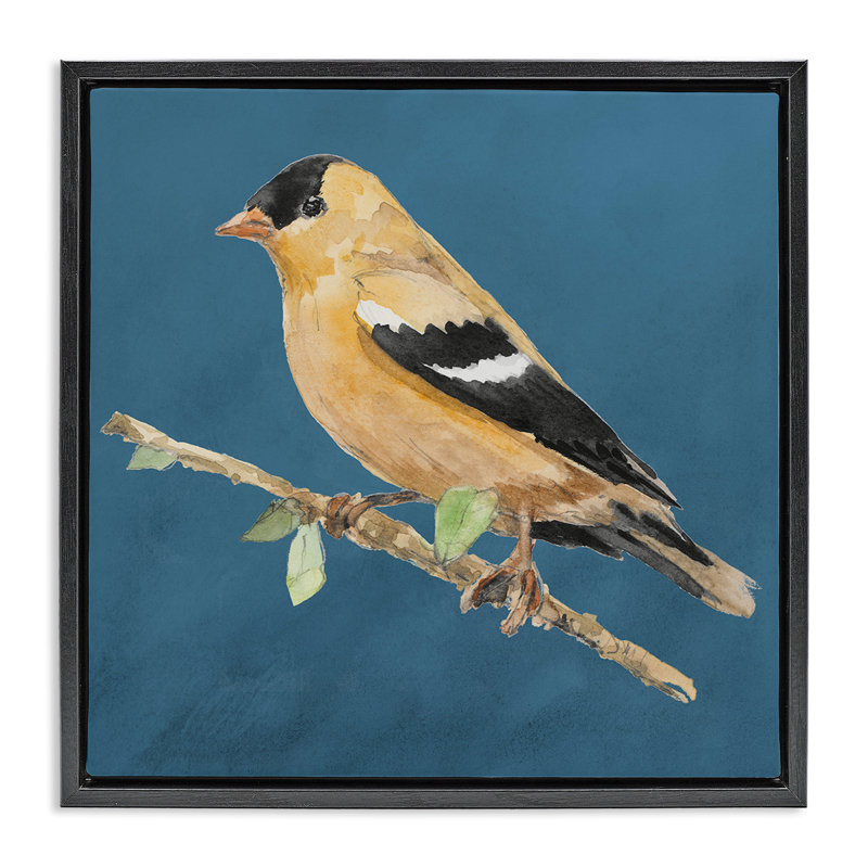 Oiseau traditionnel jaune sur toile flottante encadrée par Lanie Loreth, Cadre flottant noir de jais, H 25 po x l 25 po
