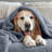 Vellux Plush Texture Blanket-112606436-112804199