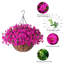 Panier à fleurs artificiel suspendu Eucalyptus-130022304