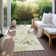 Machine Washable Indoor/Outdoor Chayden ACN1005 Ivory Rug