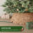 Rattan Tree Collar-119232224