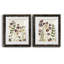 Pressed Flower Arrangement V - Ensemble de 2 reproductions d'art-147857821-137164414-137164405