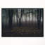 «Dark Spooky Misty Wild Forest», reproduction de photo-26687936-35062295