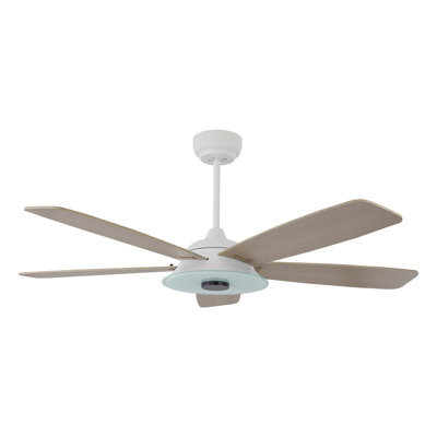 Ventilateur de plafond intelligent intérieur / extérieur de 56 pouces Journey, ensemble d'éclairage à DEL à intensité variable et télécommande, fonctionne avec l'assistant Google, Amazon Alexa et les raccourcis Siri.
