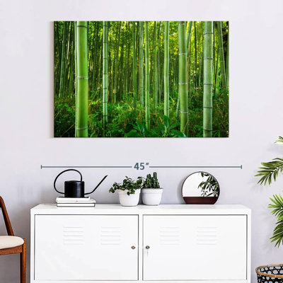 Alvord Bamboo Jungle