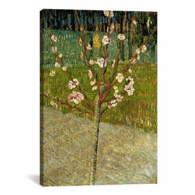 " Almond Tree In Blossom " by Vincent Van Gogh