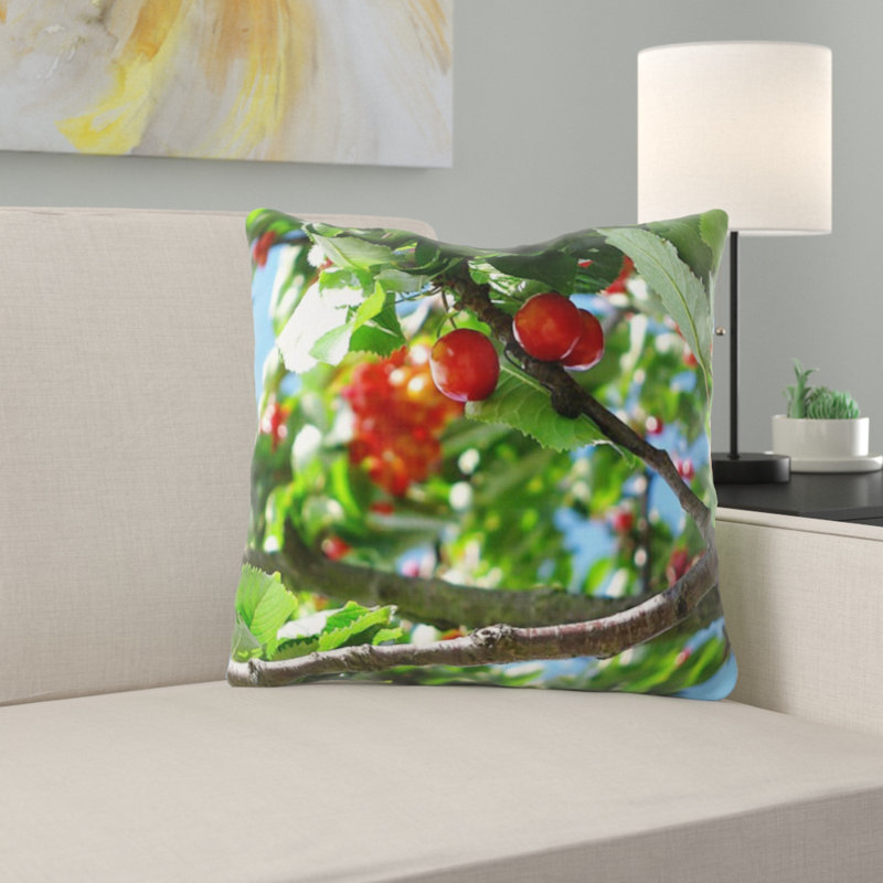 Coussin cerise