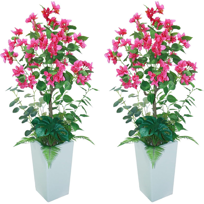 120cm Plant