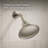 Devonshire Rite-Temp Bath and Shower Trim with Npt Spout and 1.75 Gpm Showerhead-94238115-93564827
