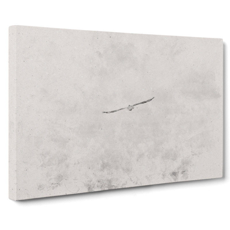 Seagull Flying In The Sky - Wrapped Canvas, 60cm H x 91cm W x 3cm D