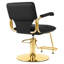 Fauteuil de coiffeur coiffeuse en cuir PU Inbox Zero-1814010781