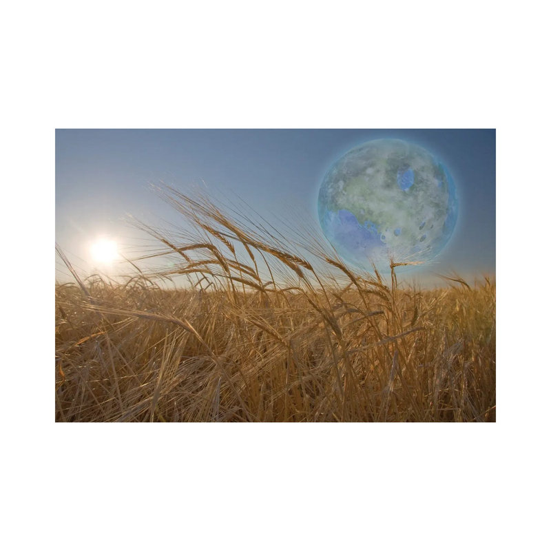 Terraformed Luna Seen From Field On Earth by Bruce Rolff - Gallery-Wrapped Canvas Giclée on Canvas, 20.32 cm H x 30.48 cm W