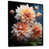 Black Floater Framed
