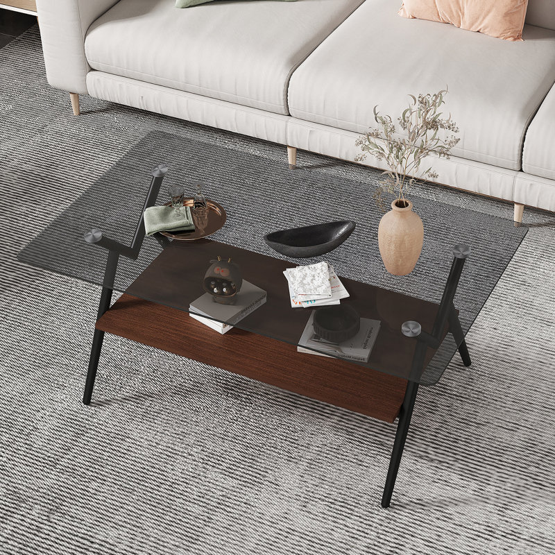 Table basse rectangulaire avec plateau en verre trempé et pieds en métal, Brun / Noir, Gris