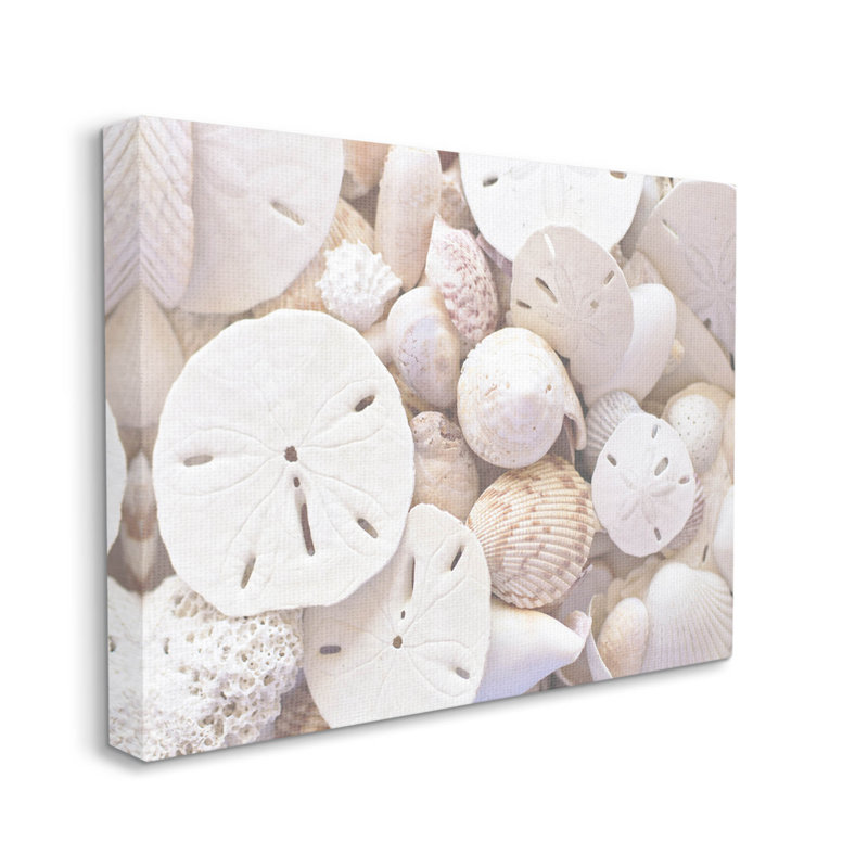 «White Mixed Sand Dollar» par Lil 'Rue, H 16 po x l 20 po x P 1,5 po