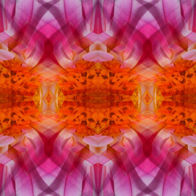 Burnt Orange Kaleidoscope Print by Lillian August