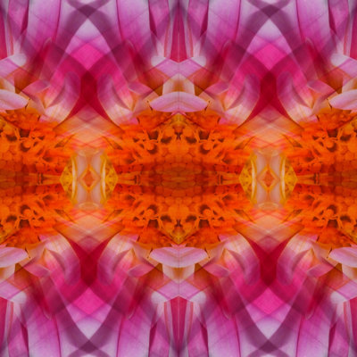 Lillian August " Burnt Orange Kaleidoscope " Acrylic Print