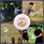 Disque volant Wham-O Frisbee officiel ultime 175g, 10,75 pouces, formation professionnelle, paquet de 3