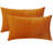 Set Of 2 Throw Pillow Velvet Cushion Covers-649669869-596609902